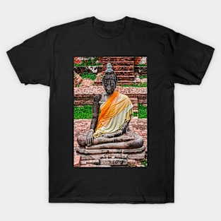 'Touching the Earth.' T-Shirt